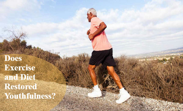 Does Exercise and Diet Restored Youthfulness? Answer is Yes !