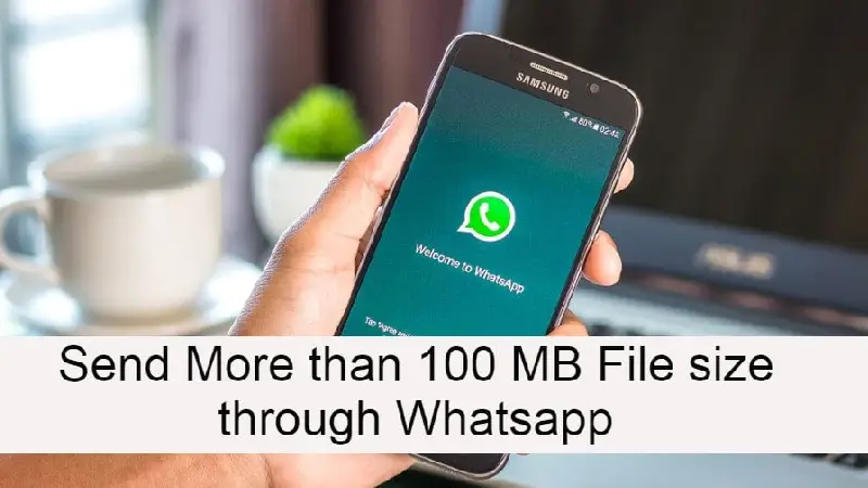 whatsapp solution