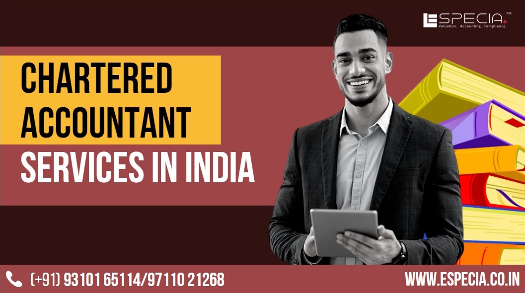 Chartered Accountant Services in India